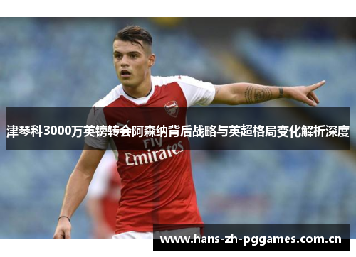津琴科3000万英镑转会阿森纳背后战略与英超格局变化解析深度